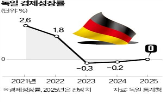 독일,경제,올해,경제성장률,미국,관세,전망치