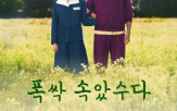 제주,특별기,마일리지,노선,오후,항공편,내국인,관광객