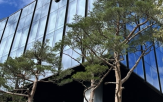 시너지,강화,우리은행,그룹,협업