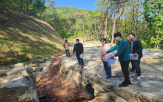 임도,최근,구조개량,산림청,설계기준
