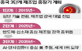 중국,시장,전기차,세계,분야