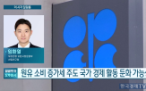 유가,수요,가능성