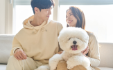 반려동물,대화