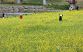 예상,제주