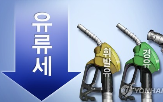 인하,유류세,축소