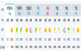 공기,남쪽,예상,북쪽