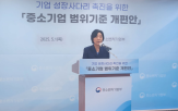 중소기업,매출,기업,기준,성장,제조업,이번,조치