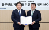 블루핸즈,하나은행,서비스