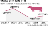 한우,평균,가격,지난해,마리