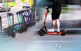 신고,주차