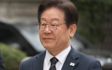 대통령,헌법,정지,재판