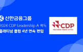 평가,신한금융,대응,수준