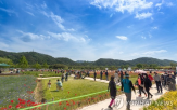 산불,축제,먹거리,경북