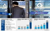 금고,대출,새마을금고,규모,부당대출,감독,규제,동일인,담보,금융권