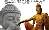 불교,세대,부처,종교,올해,인기,위해,대상,대비,화제