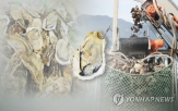 전복,수출,유럽,해수부,관계자,수산물