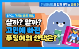 콘텐츠,공개