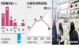 점포,편의점,리뉴얼,매출,매장,공간,지난해,위축