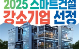 플랫폼,시스템,지원,스마트,안전,기반,스마트안전,건설현장,디지털센싱,빅데이터