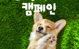 반려견,캠페인,이스타항공