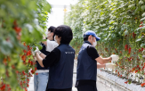 볼보자동차코리아,푸르메소셜팜,청년