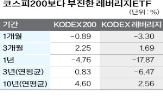 레버리지,수익률,투자,변동성