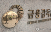 달러,순이익,증가