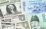 환율,강세,달러