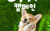 사료