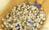 개미,케냐,밀반출