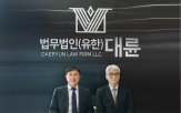 변호사,사건,중대형,대륜,특수부,대응,특수,경우,본부장