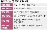 대통령,주석,러시아,푸틴,국제,미국,중국,협력,트럼프