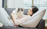 펫보험,반려동물,보장,할인,국내,상품,보험료,재가입,시장