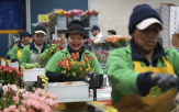 미국,관세,가격