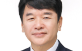 의원,후보,대선,대통령,민주당,선대위,조언