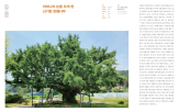 보호수,이야기,산림청