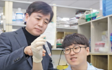 돌연변이,암세포,단백질,제어,췌장암,연구,안정성
