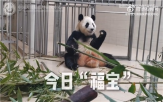중국,제기,구토,센터,상태,영상,주장,설사