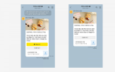 메시지,브랜드,카카오,기업,수신