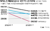 순이익,전년,동기,손보