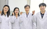 섬유,구조,감지,산사태