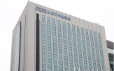 전년동기대비,증가