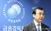 성과보수,금융회사,금감원,손실,조정,지적,리스크,책임,경우,이연기간
