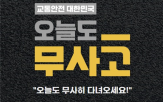 운전자,사고,고령자,페달,교통사고,정부,사망자,운전,검토,오조작