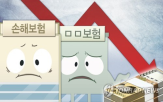 보험사,대비,하락,작년,롯데손보,순이익,감소,자본,지급여력비율,금감원