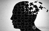 망상,환자,치매,분석,연구