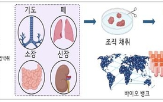 박쥐,바이러스,이드,구축,연구팀,연구,감염,장기
