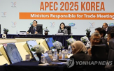 미국,한국,협의,이날,본부장,면담,칠레,관세