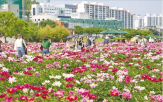 태화강,울산시,울산,국제정원박람회,조성,박람회,개최,세계,수소전기트램