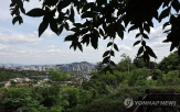기온,이날,오존,일부,대구